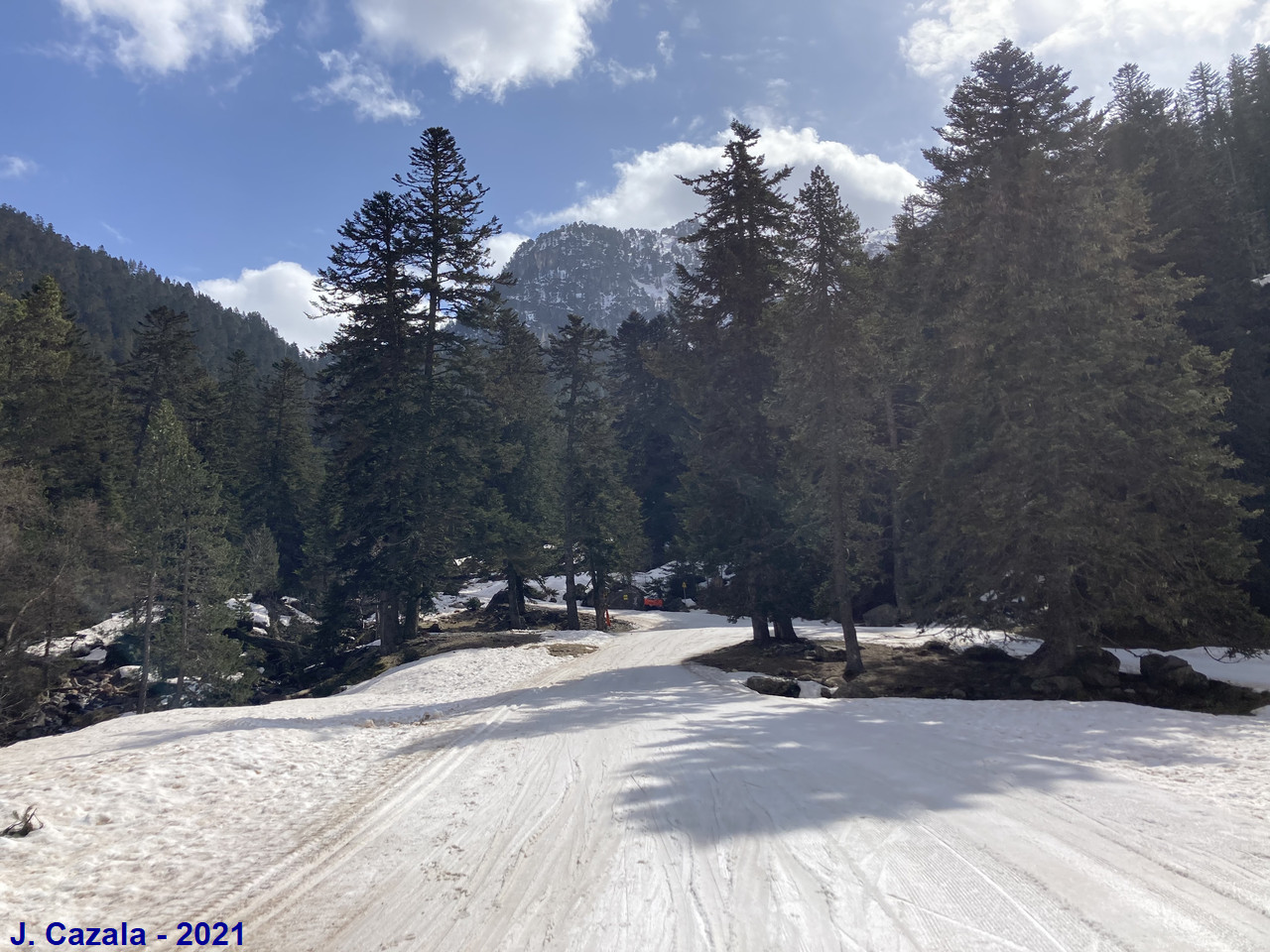 Ski de fond au plateau du Cayan