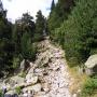 Randonnées dans les Pyrénées