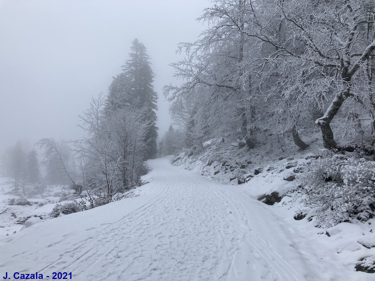 Paysage hivernal au plateau du Cayan