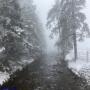 Randonnées dans les Pyrénées