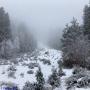 Randonnées dans les Pyrénées