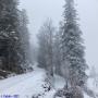 Randonnées dans les Pyrénées