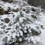 Randonnées dans les Pyrénées