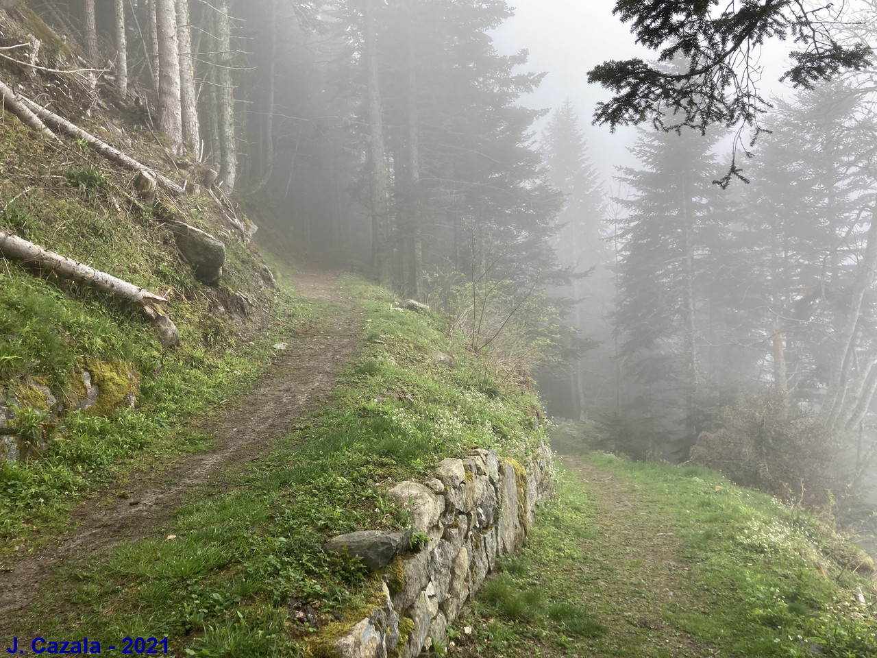 Montée vers le plateau du Lisey dans la brume