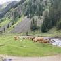 Randonnées dans les Pyrénées