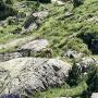 Randonnées dans les Pyrénées