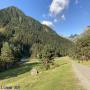 Randonnées dans les Pyrénées