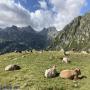 Randonnées dans les Pyrénées