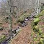 Randonnées dans les Pyrénées