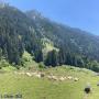 Randonnées dans les Pyrénées