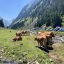 Randonnées dans les Pyrénées