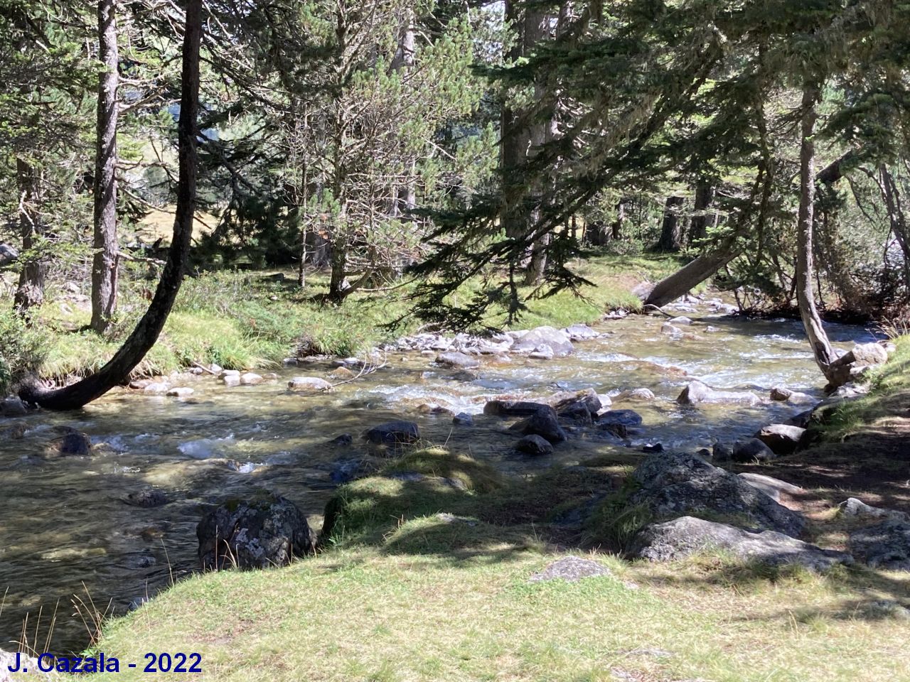 Le bord du gave au plateau du Cayan