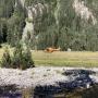 Randonnées dans les Pyrénées