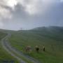 Randonnées dans les Pyrénées