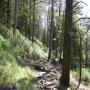 Randonnées dans les Pyrénées