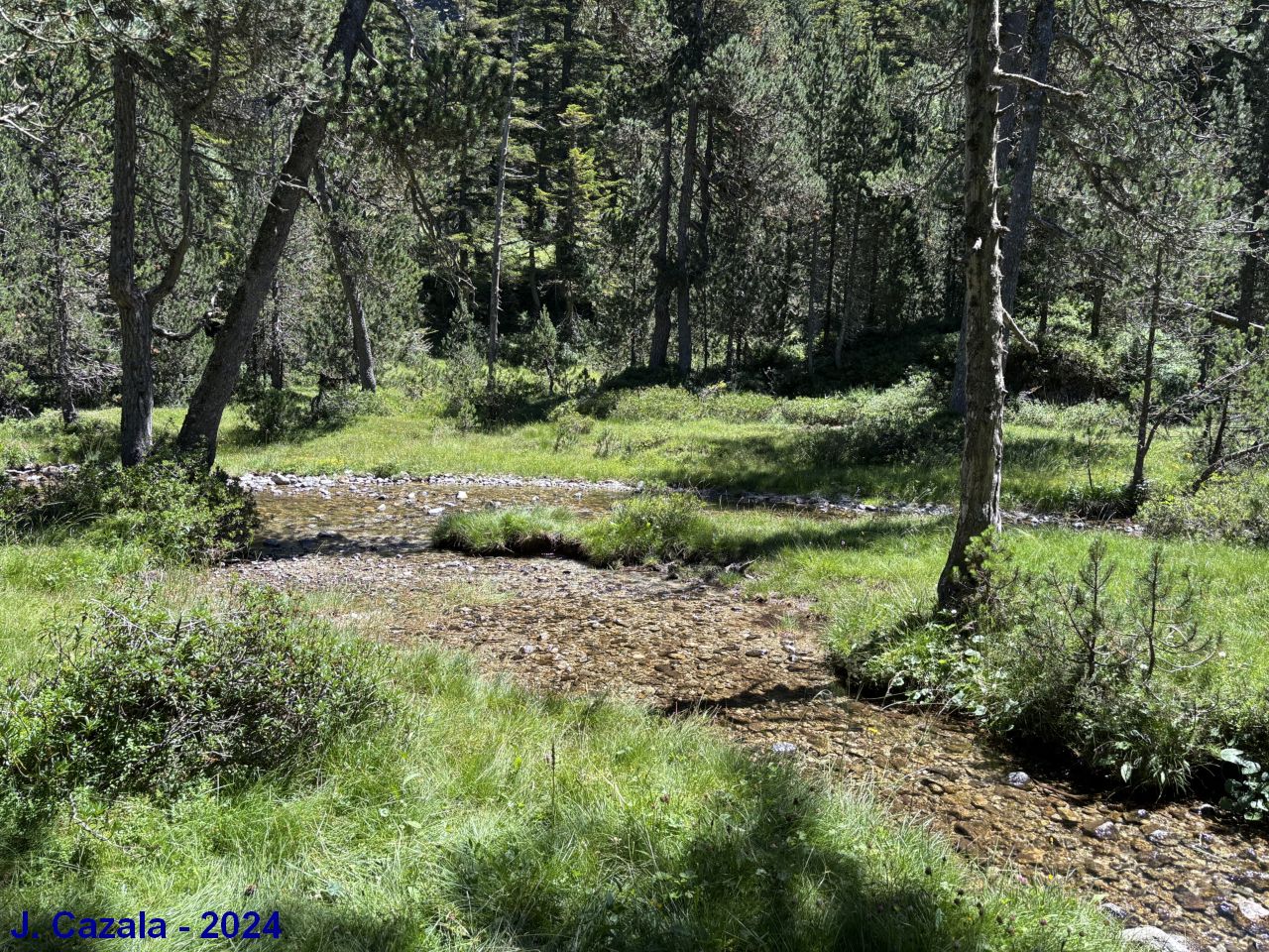 Un déjeuner au bord du gave au Cayan