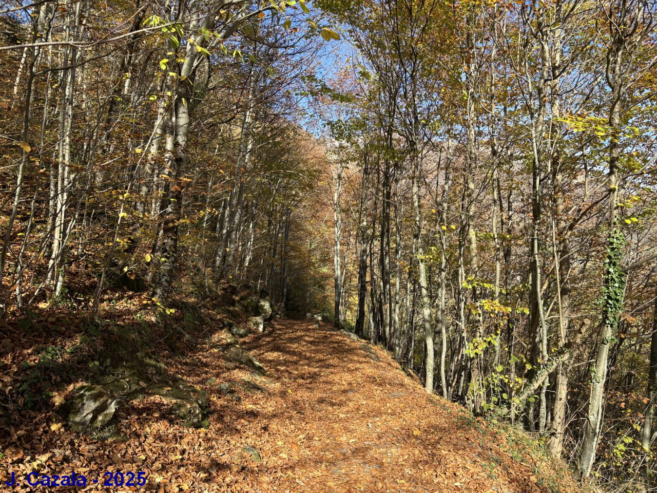 Couleurs d'automne sur le sentier de la Raillère