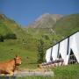 Randonnées dans les Pyrénées Plateau du Cambasque depuis Cauterets