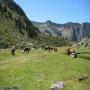 Randonnées dans les Pyrénées