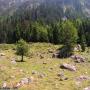 Randonnées dans les Pyrénées