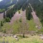 Randonnées dans les Pyrénées