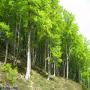 Randonnées dans les Pyrénées