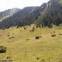 Randonnées dans les Pyrénées