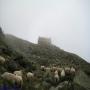 Randonnées dans les Pyrénées