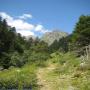 Randonnées dans les Pyrénées