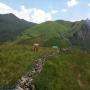 Randonnées dans les Pyrénées La Montagne Verte