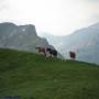 Randonnées dans les Pyrénées