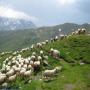 Randonnées dans les Pyrénées