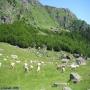 Randonnées dans les Pyrénées