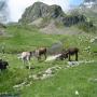 Randonnées dans les Pyrénées