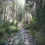 Randonnées dans les Pyrénées