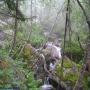 Randonnées dans les Pyrénées