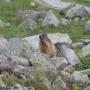 Randonnées dans les Pyrénées