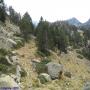 Randonnées dans les Pyrénées