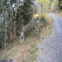 Randonnées dans les Pyrénées