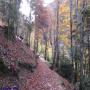 Randonnées dans les Pyrénées