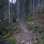 Randonnées dans les Pyrénées