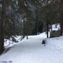 Randonnées dans les Pyrénées